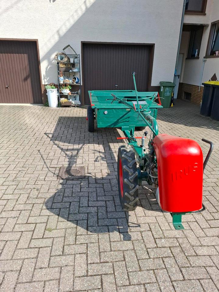 Bild 3
