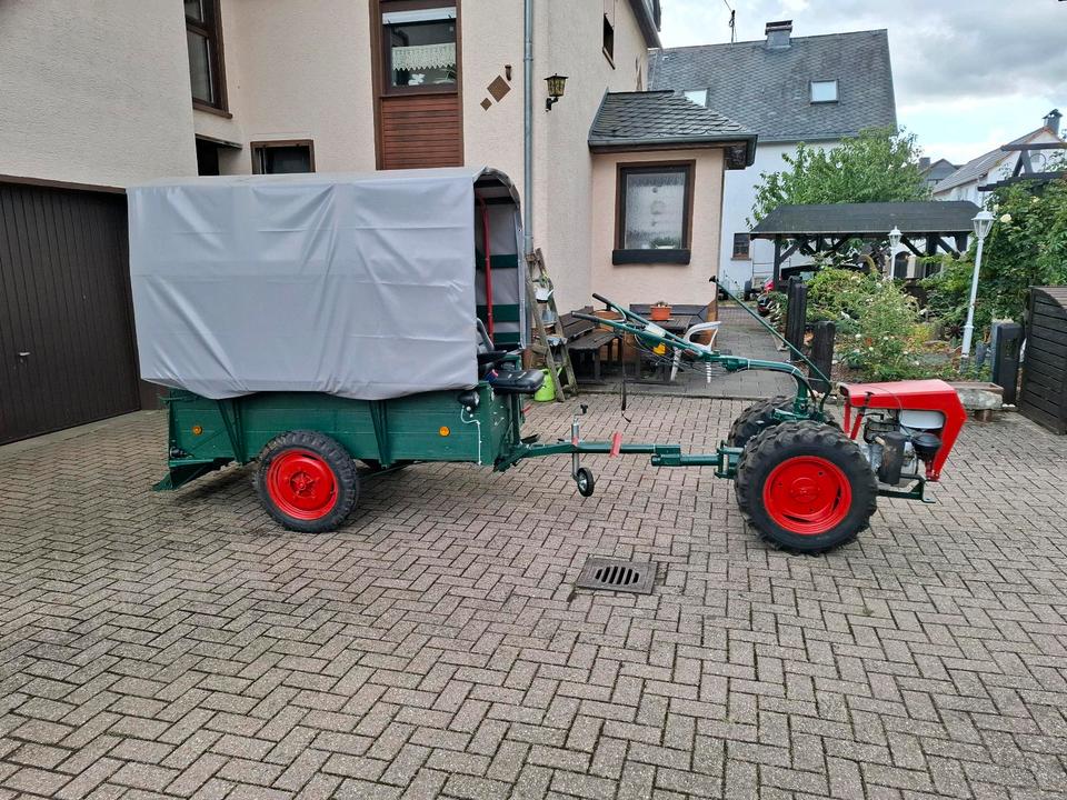 Bild 5