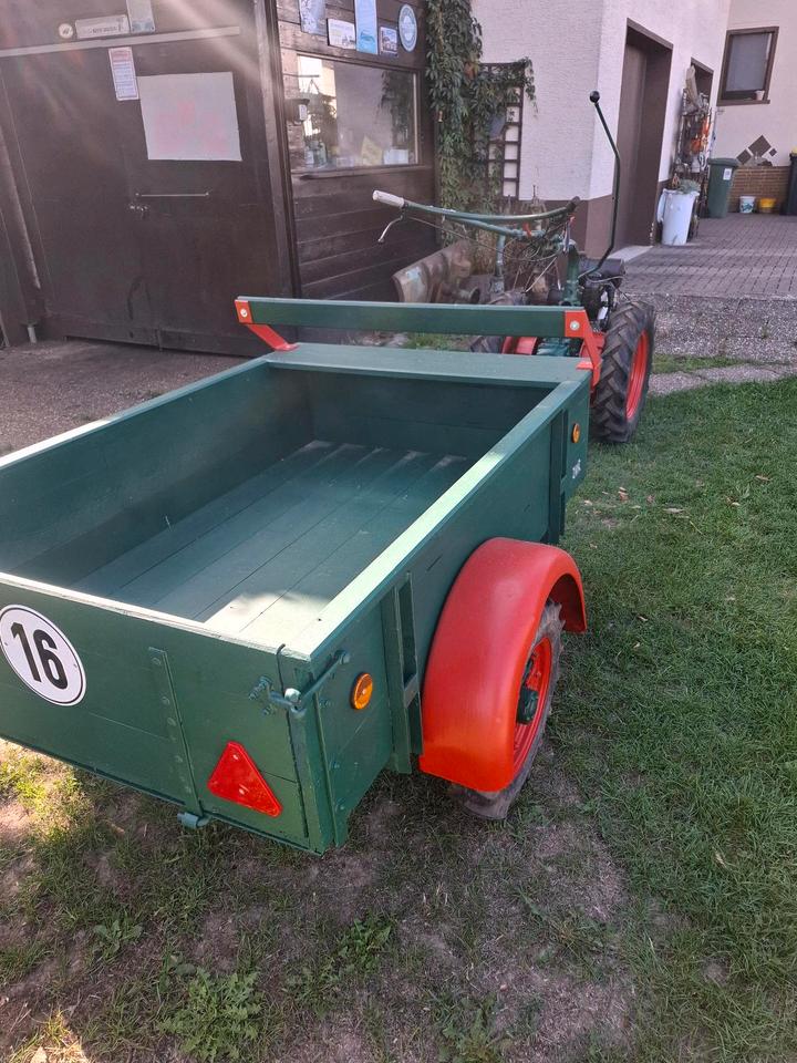 Bild 6