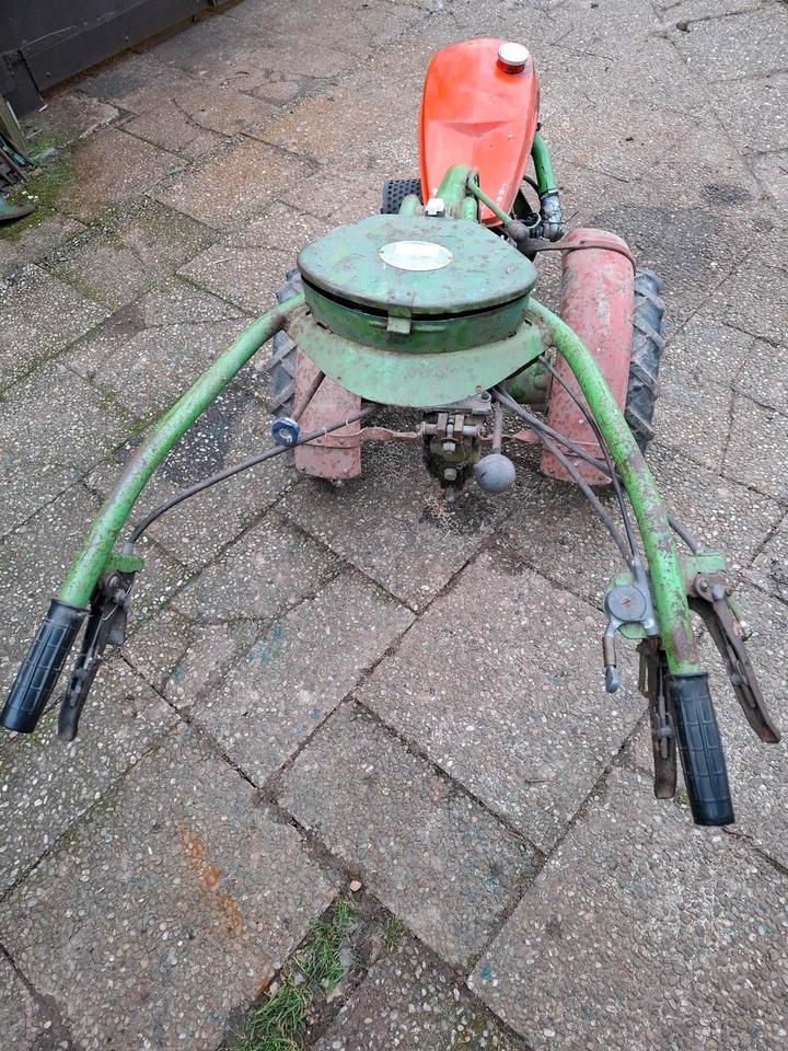 Bild 5