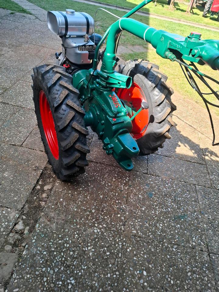 Bild 5